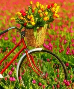 Bike With Tulips Art paint by number