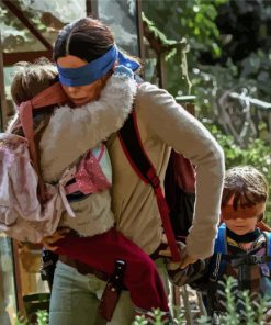 Bird Box Movie paint by number