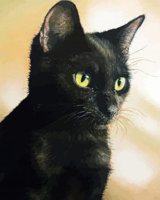 Black Cat Pastel paint by number