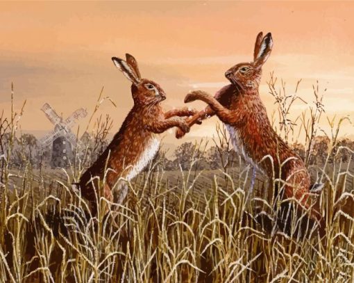 Boxing Hares Art paint by number