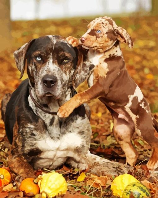 Catahoula Leopard Dogs paint by number