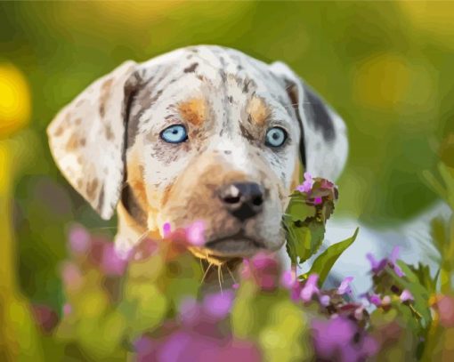 Catahoula Leopard Face paint by number