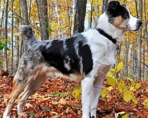 Catahoula Leopard In Forest paint by number