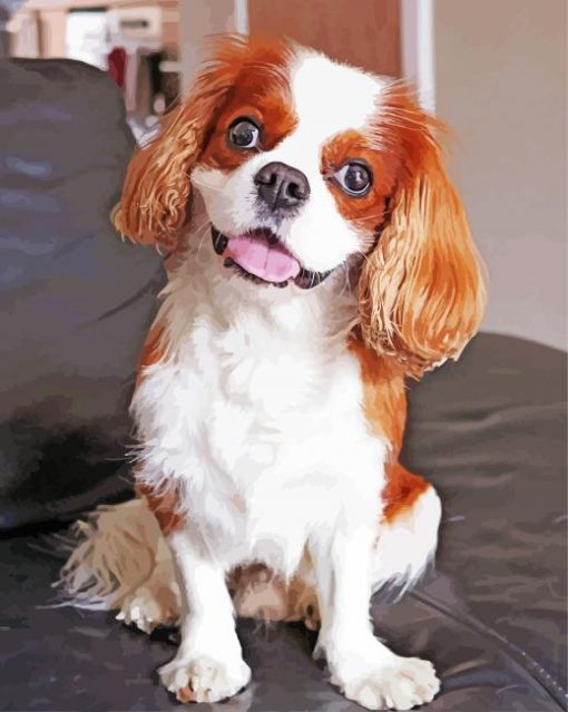 Cavalier King Charles Spaniel Puppy paint by number