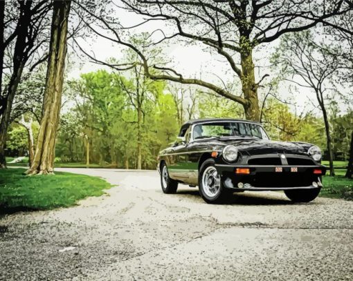 Classic Black Mgb paint by number