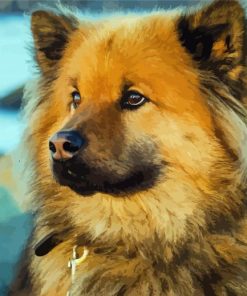 Close Up Eurasier Dog paint by number