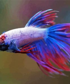 Colorful Purple Betta Fish paint by number