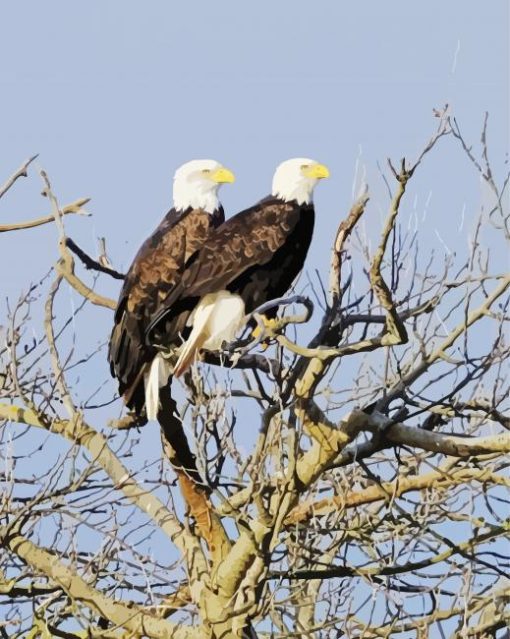 Cute Eagles On A Tree paint by number