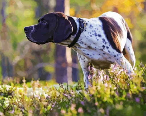 Cute English Pointer paint by number