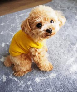 Cute Toy Poodle paint by number