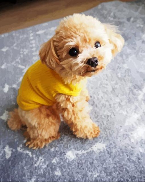 Cute Toy Poodle paint by number