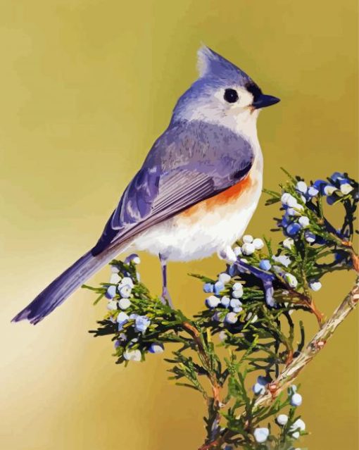 Cute Tufted Titmouse Bird paint by number