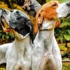 English Pointer Puppies paint by number