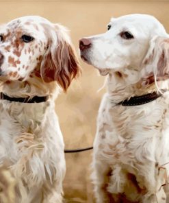 English Setter Puppies paint by number