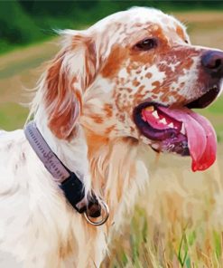 English Setter Puppy paint by number