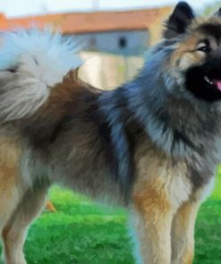 Eurasier Dog paint by number