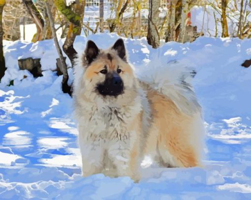 Eurasier In Snow paint by number