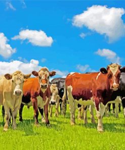 Flock Of Real Cows In A Field paint by numbers