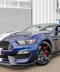 Ford Shelby GT350 Car paint by number