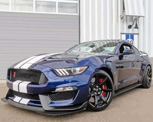 Ford Shelby GT350 Car paint by number