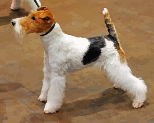 Fox Terrier Dog paint by number