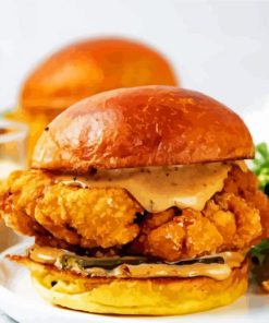 Fried Chicken Burger paint by number