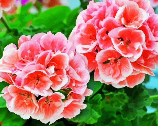 Geraniums Flowers paint by number