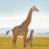 Giraffe Mom And Baby paint by number