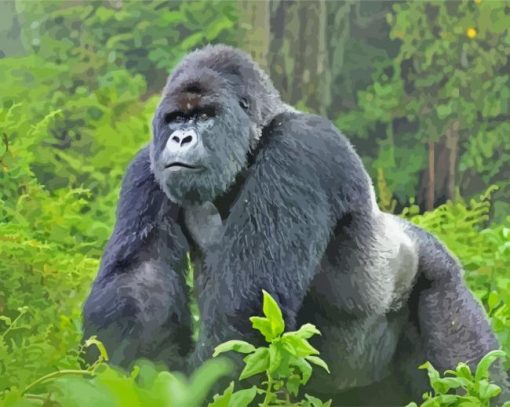 Gorilla In Forest paint by number