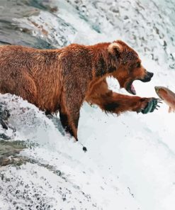 Grizzly Bear Capturing A Fish In A Waterfall paint by number