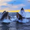 Humpback Whale In The Ocean paint by number