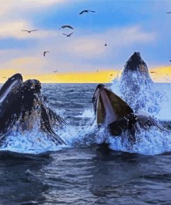 Humpback Whale In The Ocean paint by number