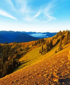 Hurricane Ridge Sunrise paint by number