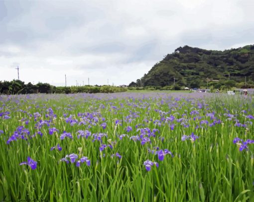 Iris Flowers Field paint by number