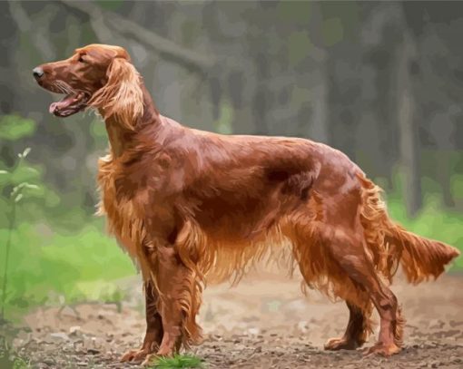 Irish Setter In Forest paint by number