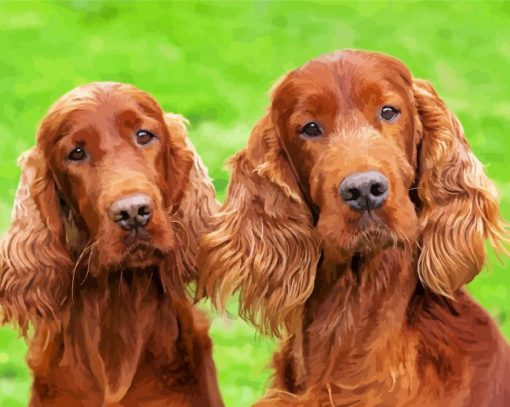 Irish Setter Puppies paint by number