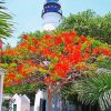 Key West Lighthouse paint by number