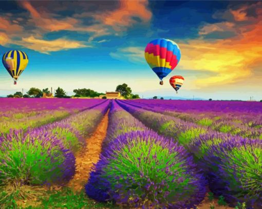 Lavender Field Hot Air Balloons paint by number