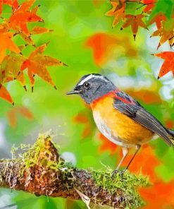 Lovely Robin In Autumn paint by number