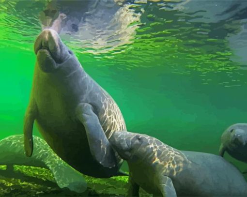 Manatee Family paint by number