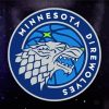 Minnesota Timberwolves Basketball Logo paint by number