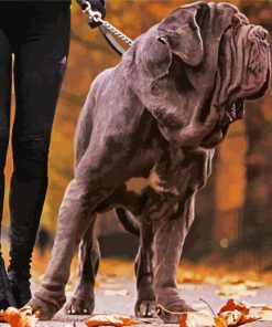 Neapolitan Mastiff Dog paint by number