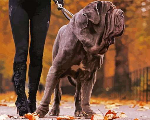 Neapolitan Mastiff Dog paint by number