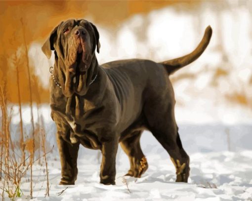 Neapolitan Mastiff In Snow paint by number