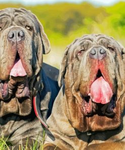 Neapolitan Mastiff Puppies paint by number