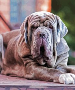 Neapolitan Mastiff Puppy paint by number