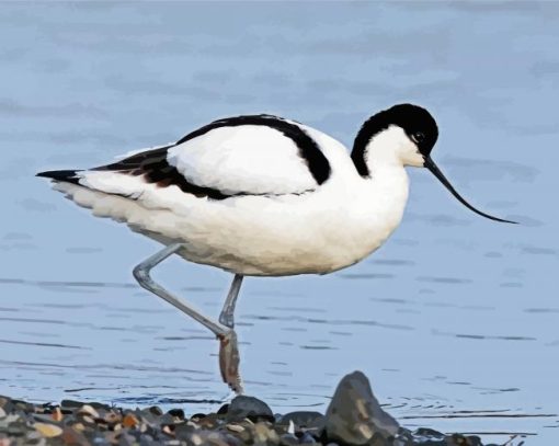 Piet Avocet paint by number