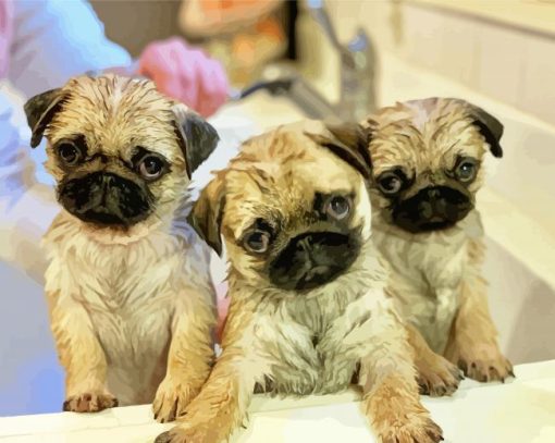 Pug Puppies paint by number