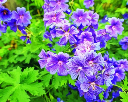 Purple Geraniums Flowers paint by number