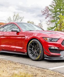 Red Ford Shelby GT350 paint by number